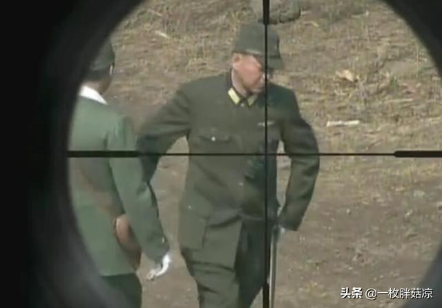 伏击电视剧全集在线观看(伏击电视剧完整版在线观看)