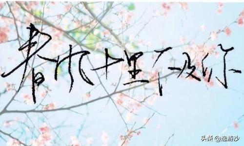 春风十里不如你下一句怎么接