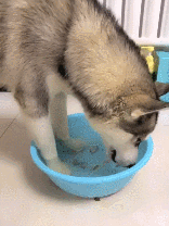 好笑的笑话（好笑的笑话段子）