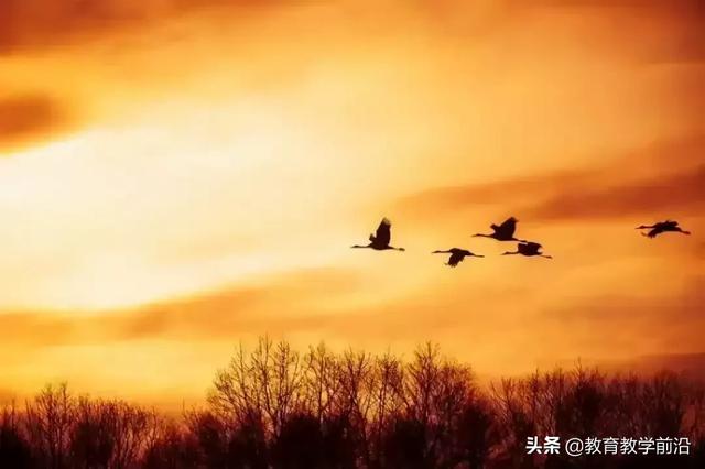 野望翻译简短(野望翻译全文翻译)