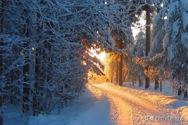 先婚后爱txt_先婚后爱txt免费网盘